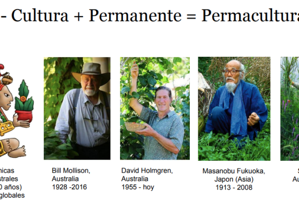 Presentacion: Que es la permacultura?